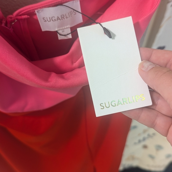 Sugarlips Colorblock Dress - Picture 3 of 3